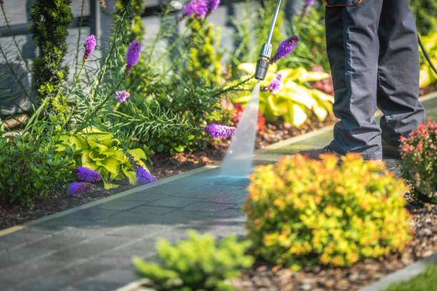 Reliable Salyersville, KY Pressure Washing Solutions